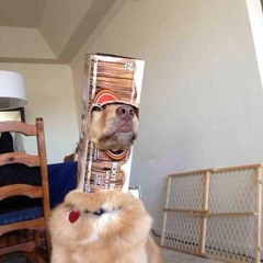 Manny Cabral Courtemanche