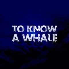 To Know a Whale