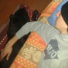 Alessandro Baccalini