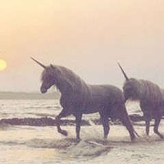 aysha thelastunicorn