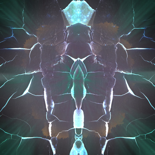 Vertebrae Resignment