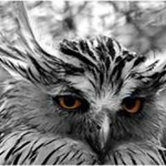 Stream Sov Inferrum Music | Listen To Songs, Albums, Playlists For.