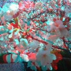 高江タカシが初めて高校受験した時の音