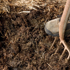 I sampled a Colombian salsa record