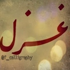 Sayed Daman Ali