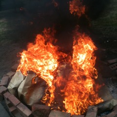 Pytwd