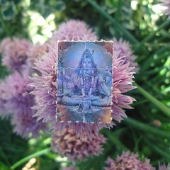 b2psytrip