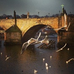 johnathanpalmerjohnathan