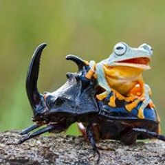 Antonio Pérez Montero