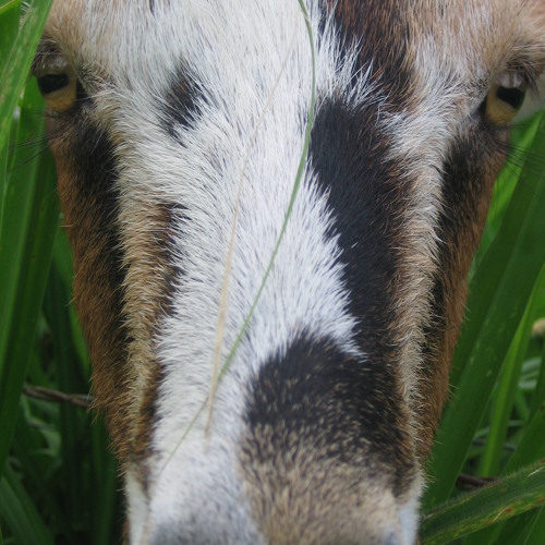 Stream Clarise Holmes music Listen to songs, albums, playlists for free on SoundCloud