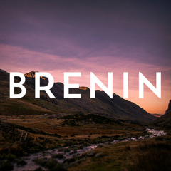 Brenin