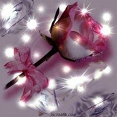 Shereen Ahmad