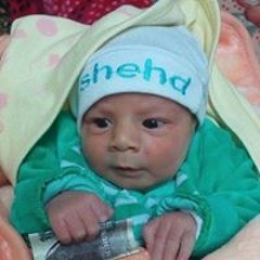 Mahmoud Mostafa Hassan