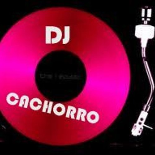 DJ CaChorro’s avatar
