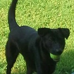 Marianne Wojtkielewicz