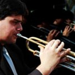 Vinícius Machado Araújo