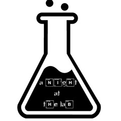anightatthelab