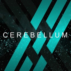 Cerebellum
