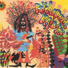 the Psychedelic Raiders