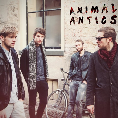 Animal Antics’s avatar