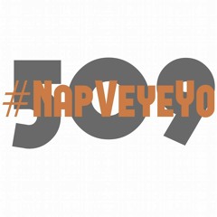 NapVeyeYo 509