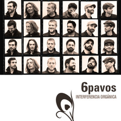 6 PAVOS