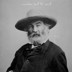 Mountain and The Wood