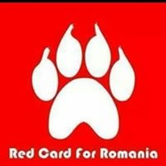 Tierschutz Vorarlberg