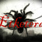 Etketera