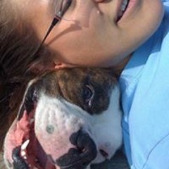 Mauritania Montes Flores