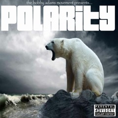 Polarity Music & Media