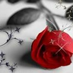 Alyaa Elsayed