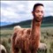 thecarterjames