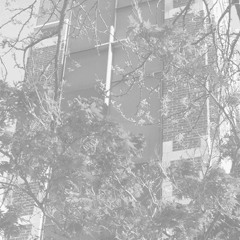 libertychristianchurch