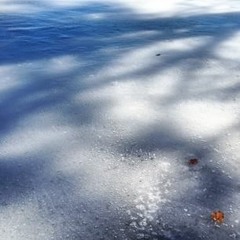 laurenspeterslaurens