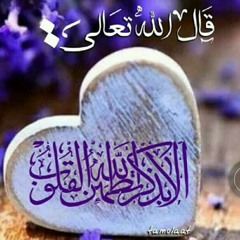 user74428263