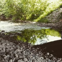 degrootgabrieldegroot