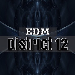 Edm District 12