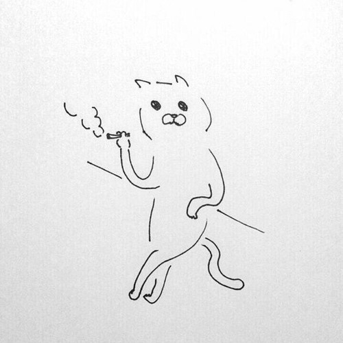 Audio Recording on Monday night