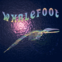 Whalefoot