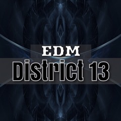 Edm District 13