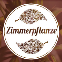 Die Zimmerpflanze