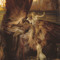 Seraphim