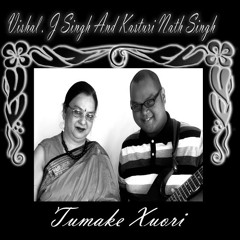 Vishal J.Singh Collective