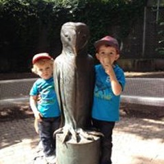 Simone Brücher-Sammarro