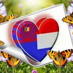 ႀကိဳ​ေန​ေစခ်င္​တယ္​ (ဂ်ီလက္​).mp3