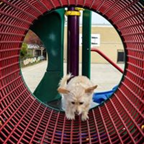 Drone For David Session