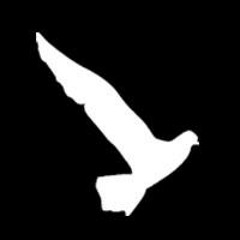 Weather Paris Festival