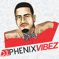 Dj Phenix-Vibez