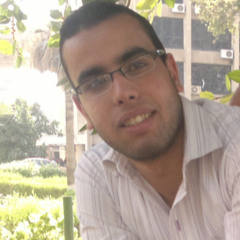 mohammed ali radwan